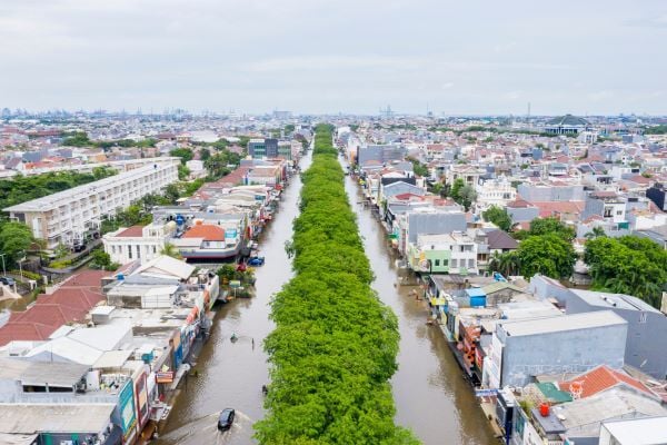Natural disaster planning – is your business protected?
